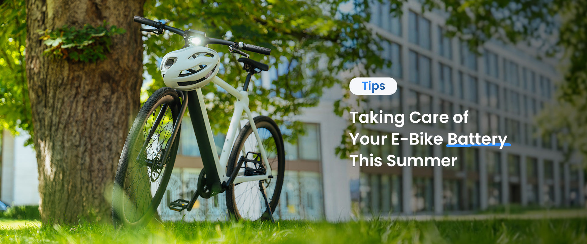 summer battery care